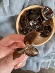 木耳