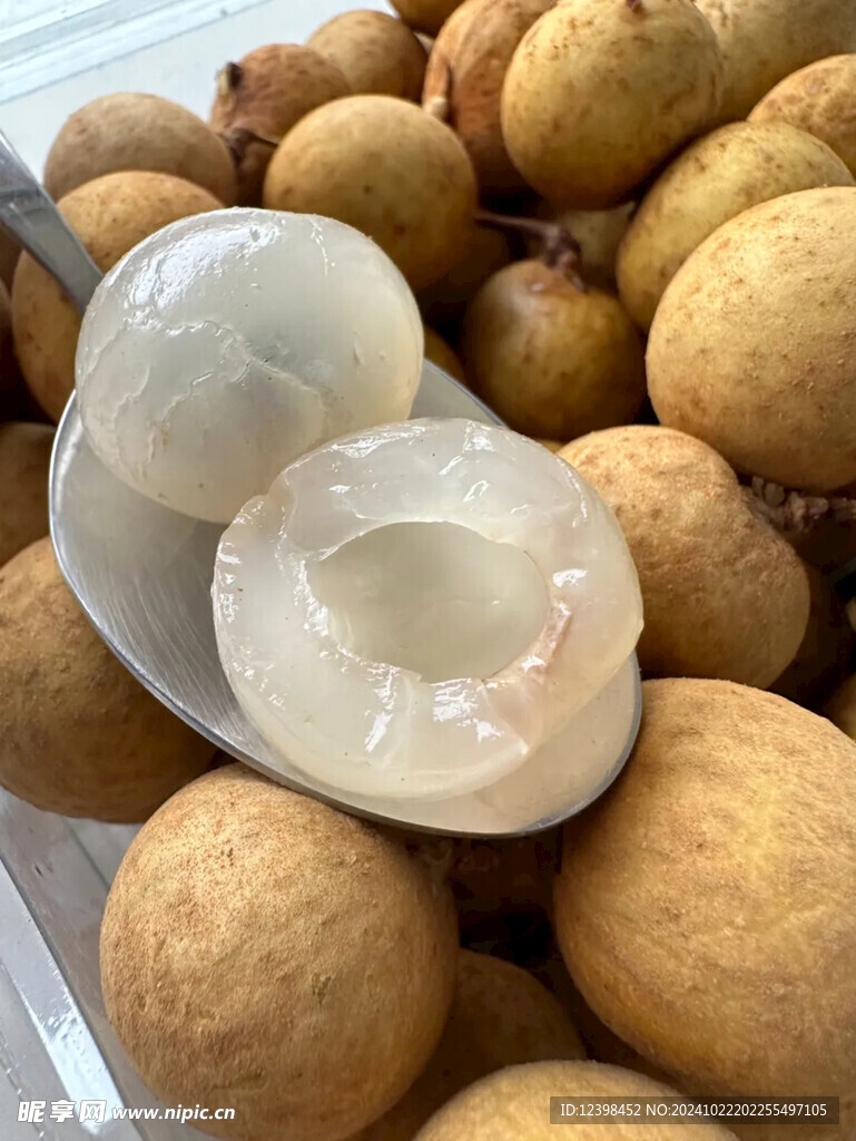 桂圆