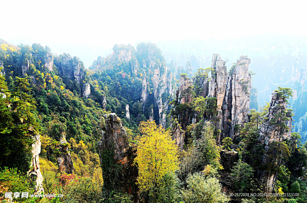 天子山
