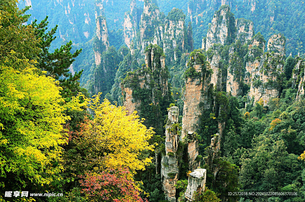 天子山
