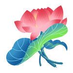 免扣荷花素材 
