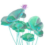 免扣荷花素材 