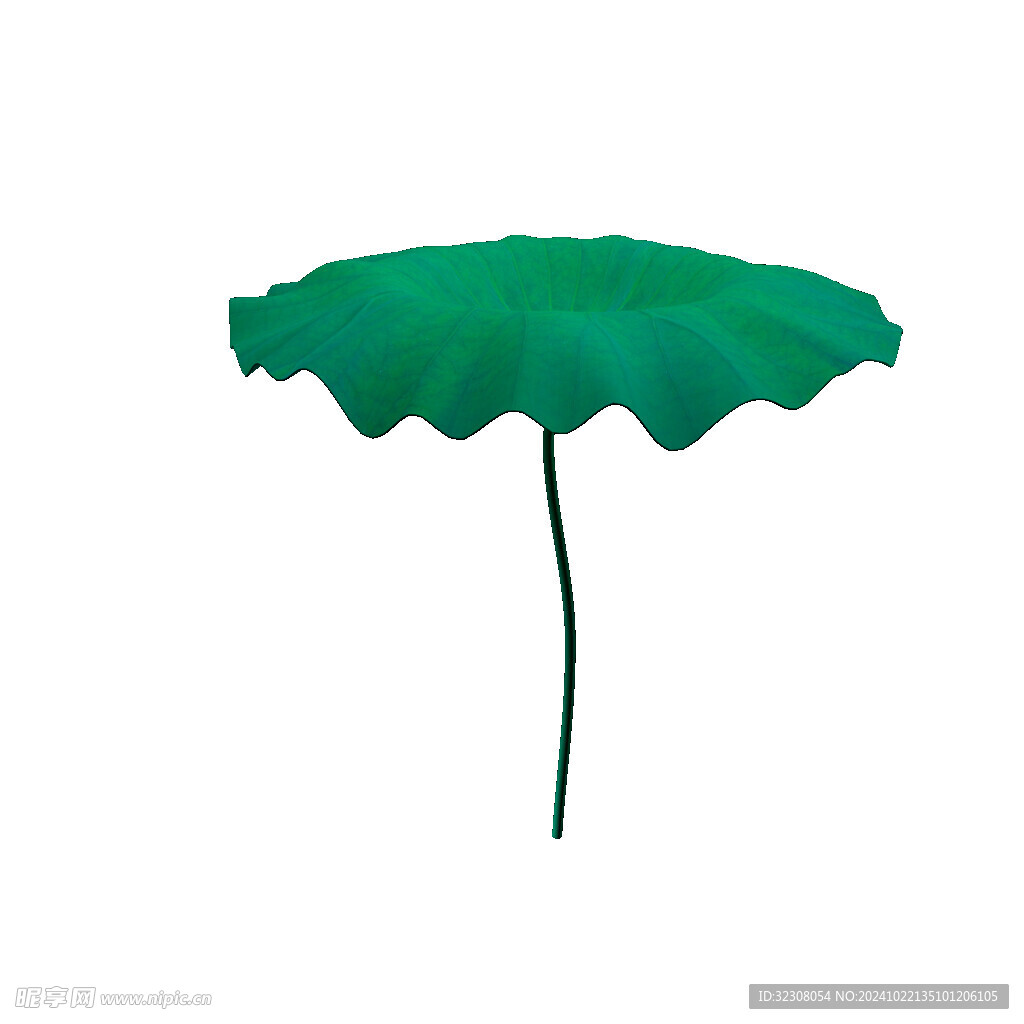 免扣荷花素材  