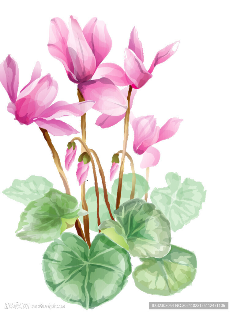 免扣荷花素材  