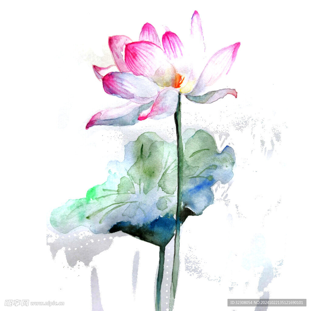 免扣荷花素材  