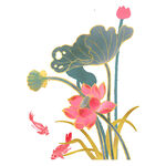 免扣荷花素材 