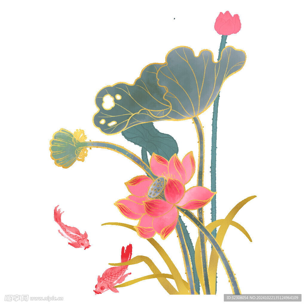 免扣荷花素材 