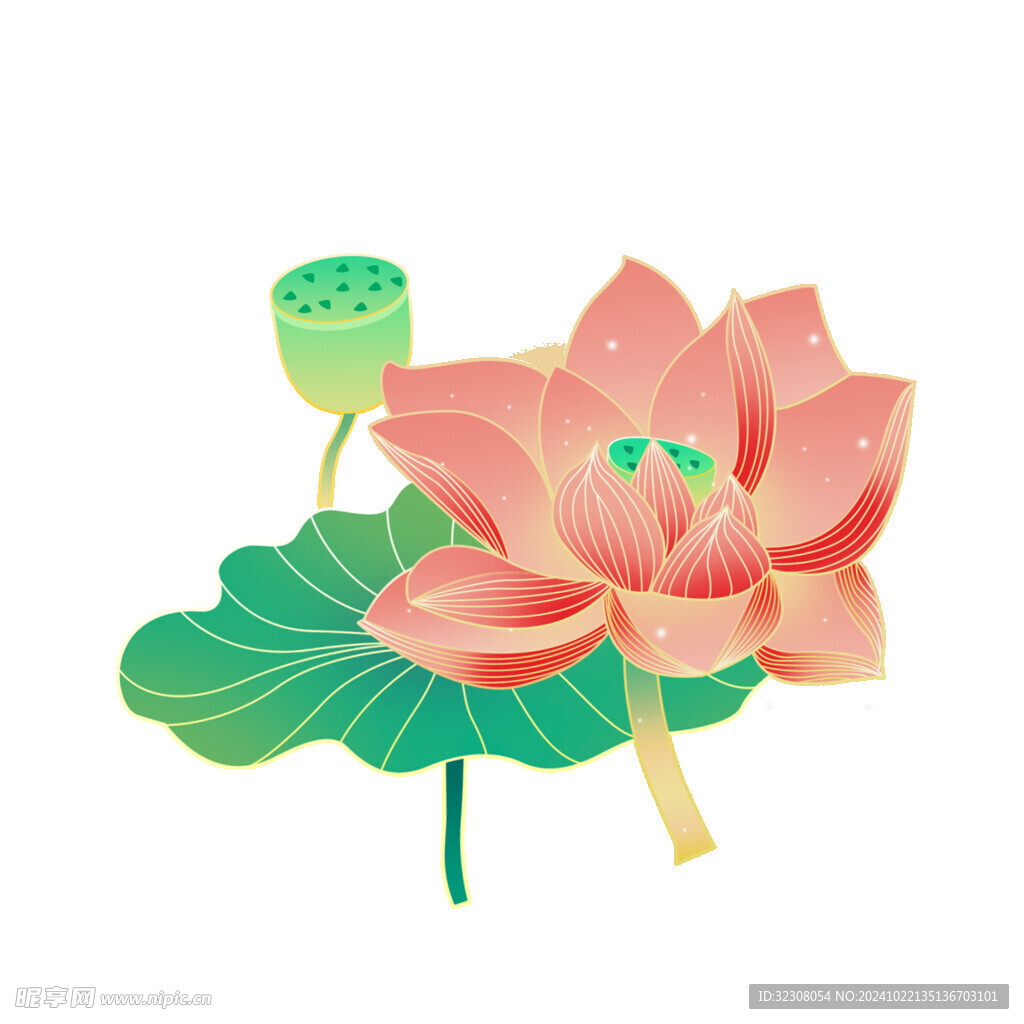 免扣荷花素材 