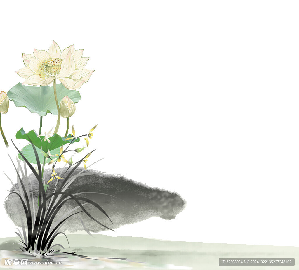 免扣荷花素材  