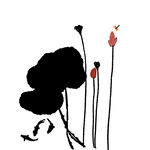 免扣荷花素材 