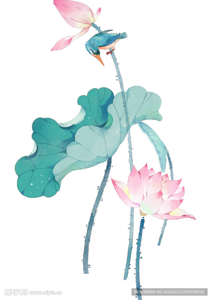 免扣荷花素材  