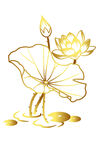 免扣荷花素材  