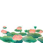 免扣荷花素材 
