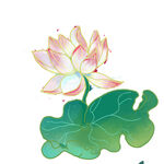 免扣荷花素材  