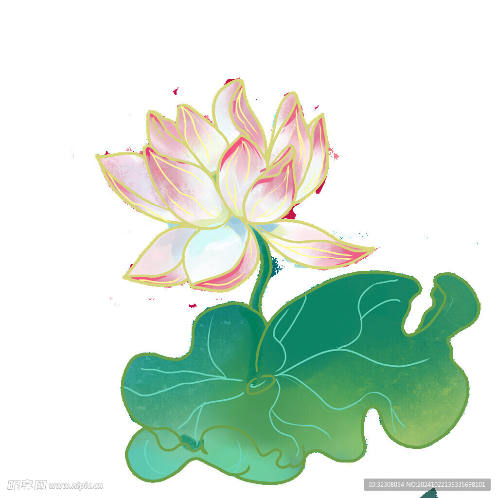 免扣荷花素材  
