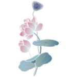 免扣荷花素材  