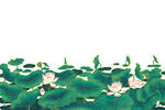 免扣荷花素材 