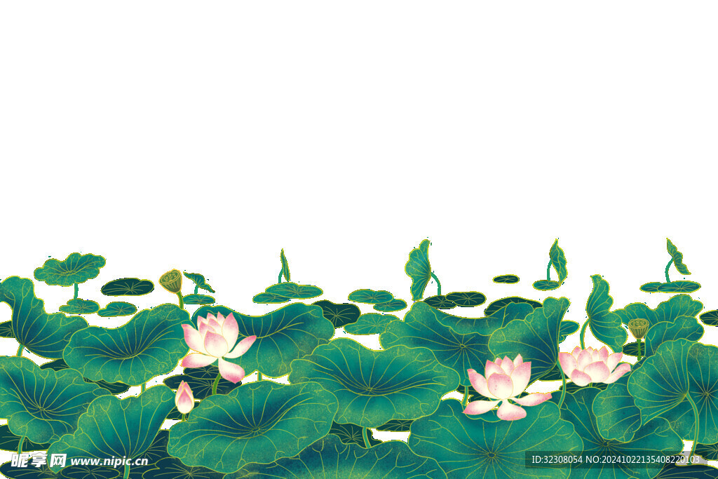 免扣荷花素材 