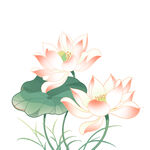 免扣荷花素材  