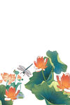 免扣荷花素材  