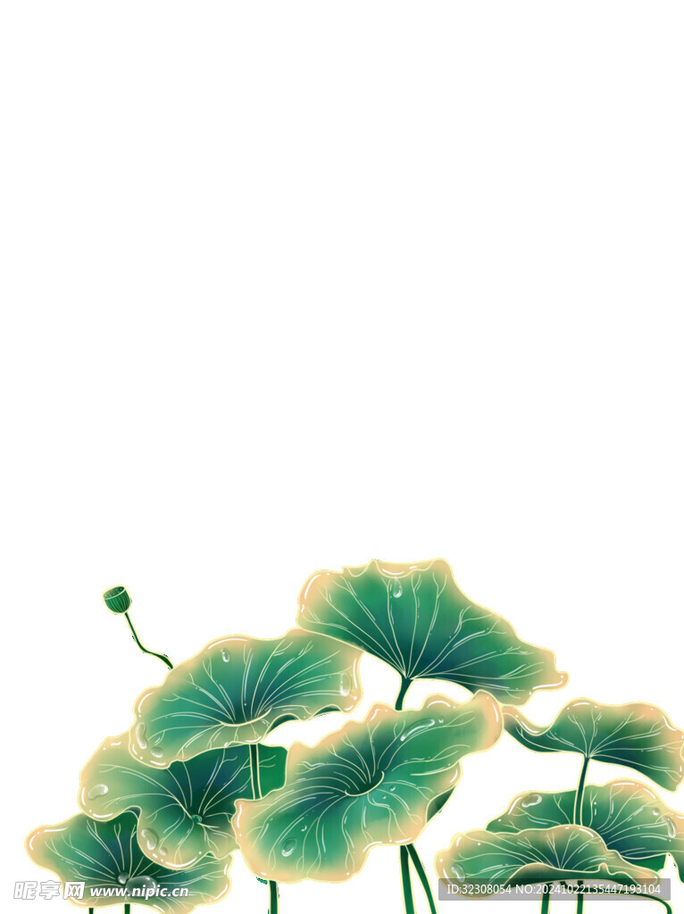 免扣荷花素材 