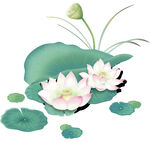 免扣荷花素材 
