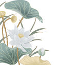 免扣荷花素材  
