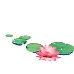 免扣荷花素材  