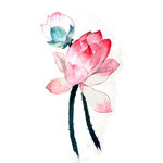 免扣荷花素材  