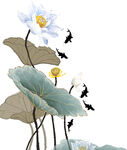 免扣荷花素材  