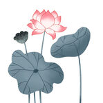 免扣荷花素材  