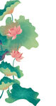 免扣荷花素材  