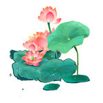 免扣荷花素材 