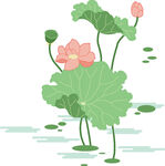 免扣荷花素材  