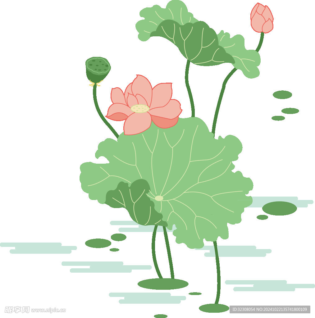 免扣荷花素材  