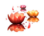 免扣荷花素材  