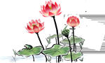 免扣荷花素材  