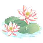 免扣荷花素材  