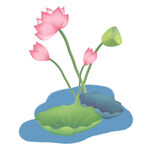 免扣荷花素材  