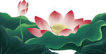 免扣荷花素材 