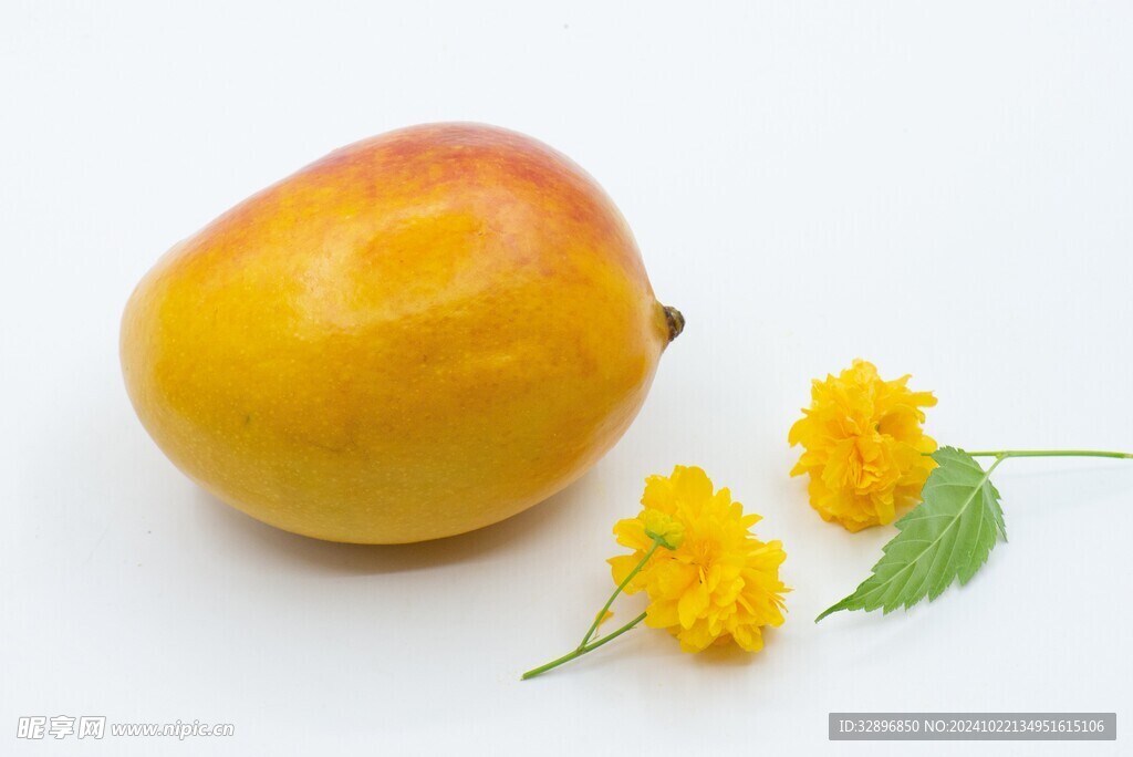 芒果