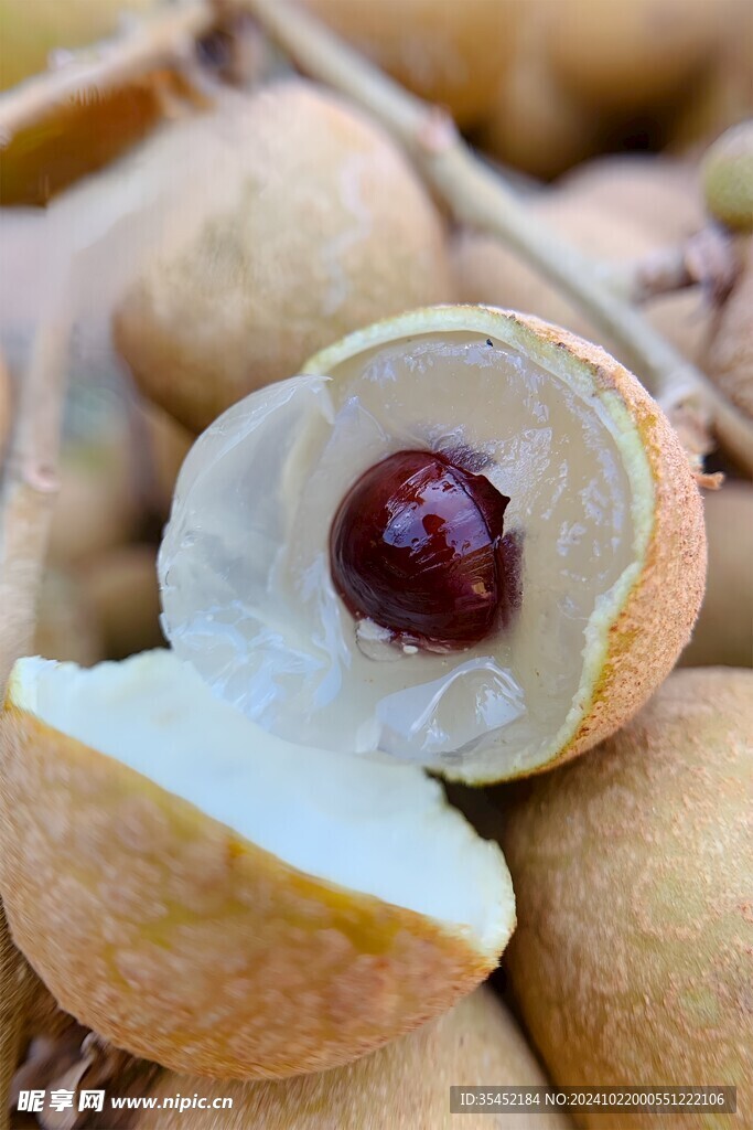桂圆 