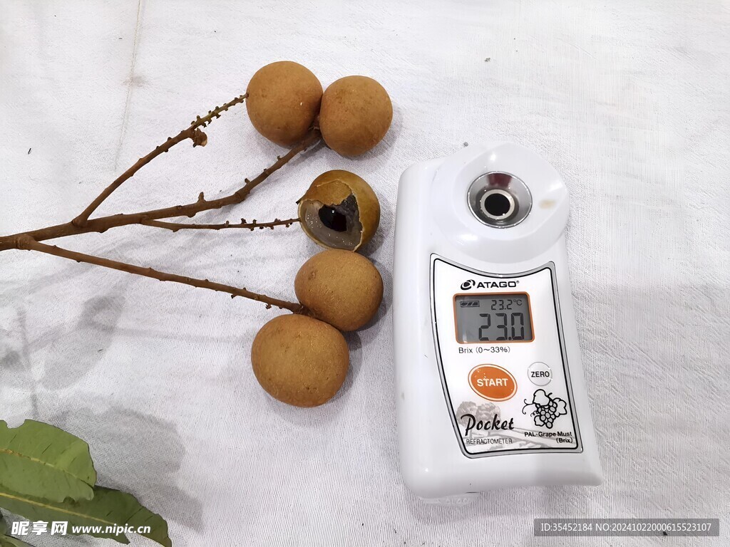 桂圆 