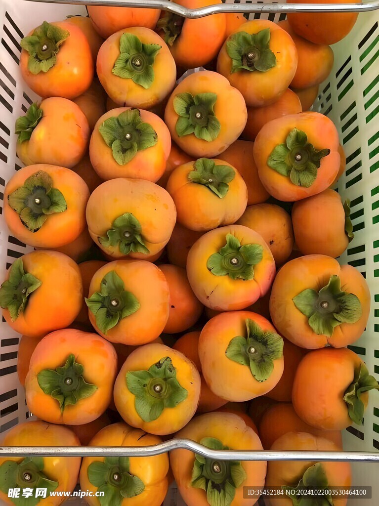 柿子