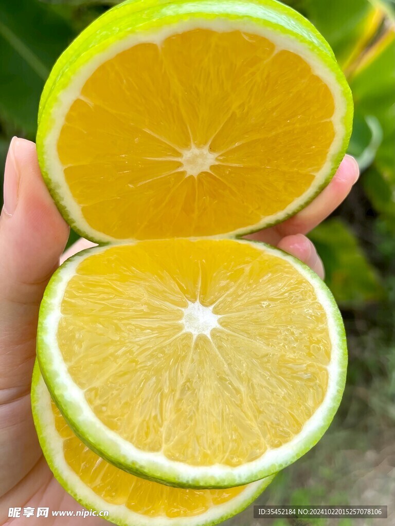 橙子
