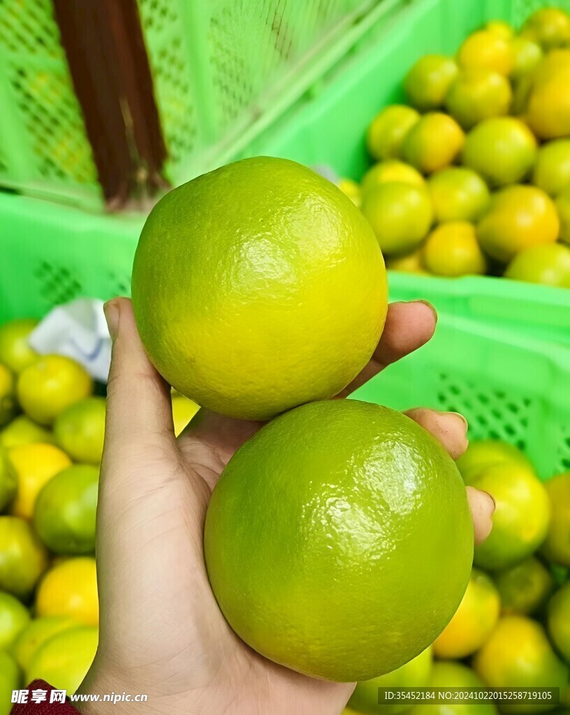 橙子