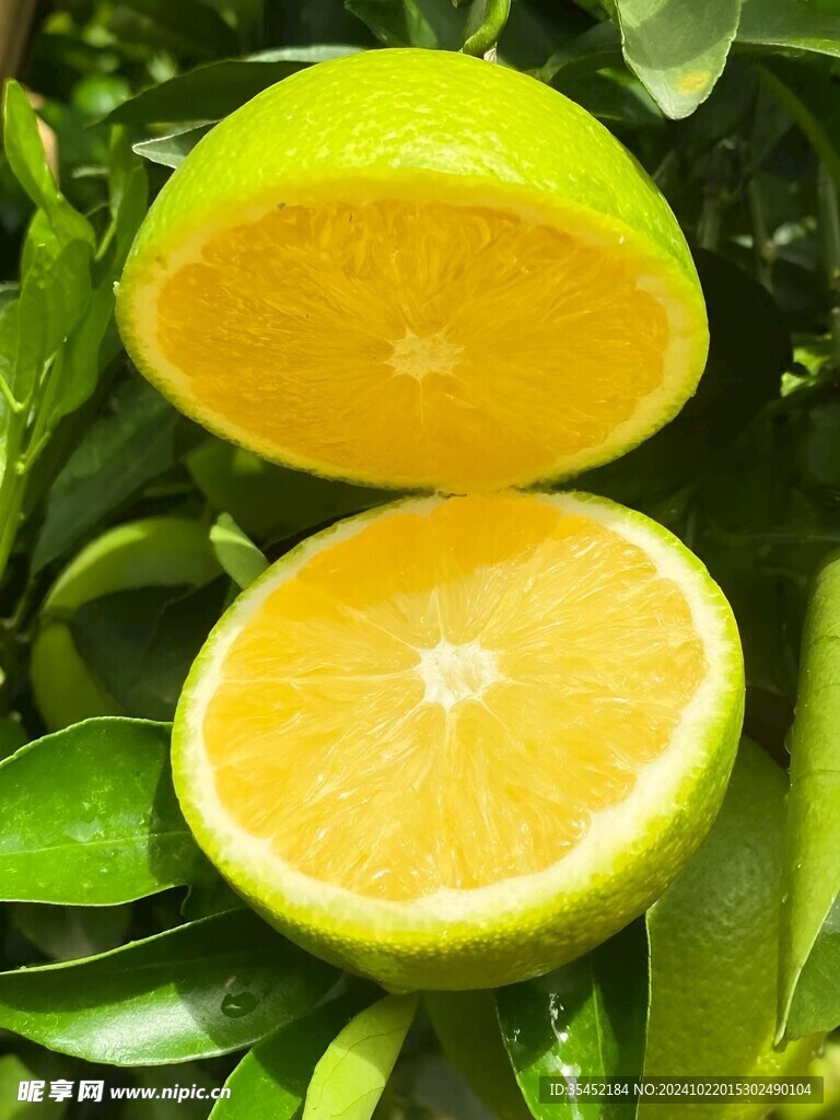橙子