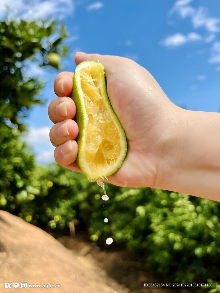 橙子