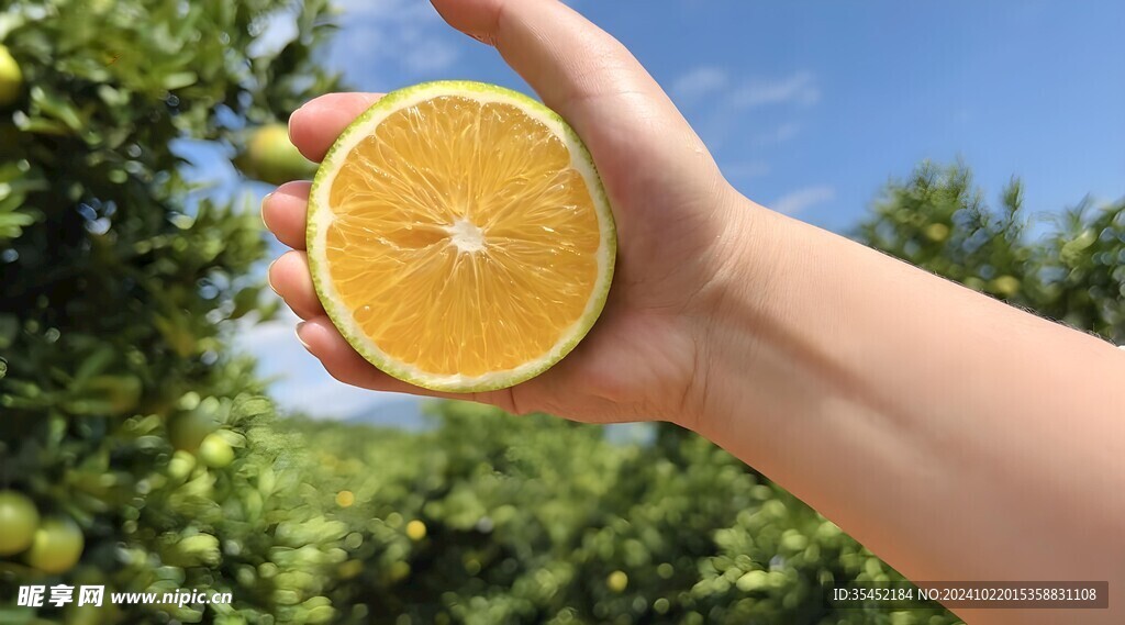 橙子