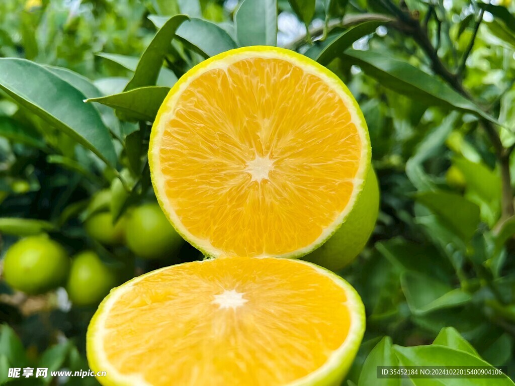 橙子